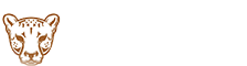 Amet Adventures