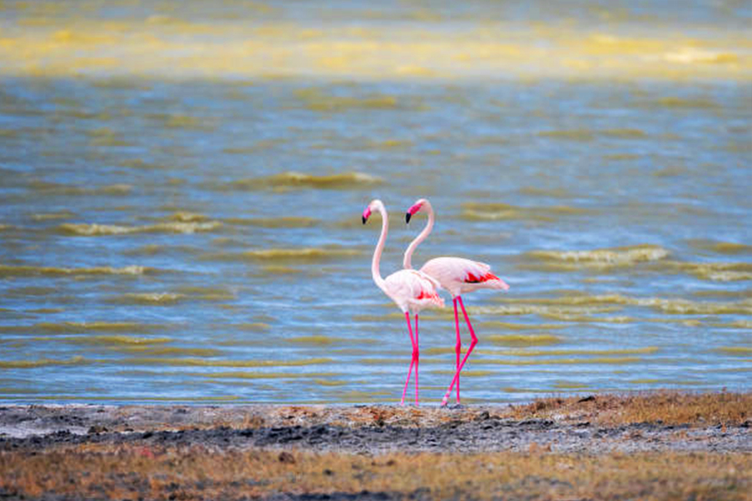 ngorongoro3