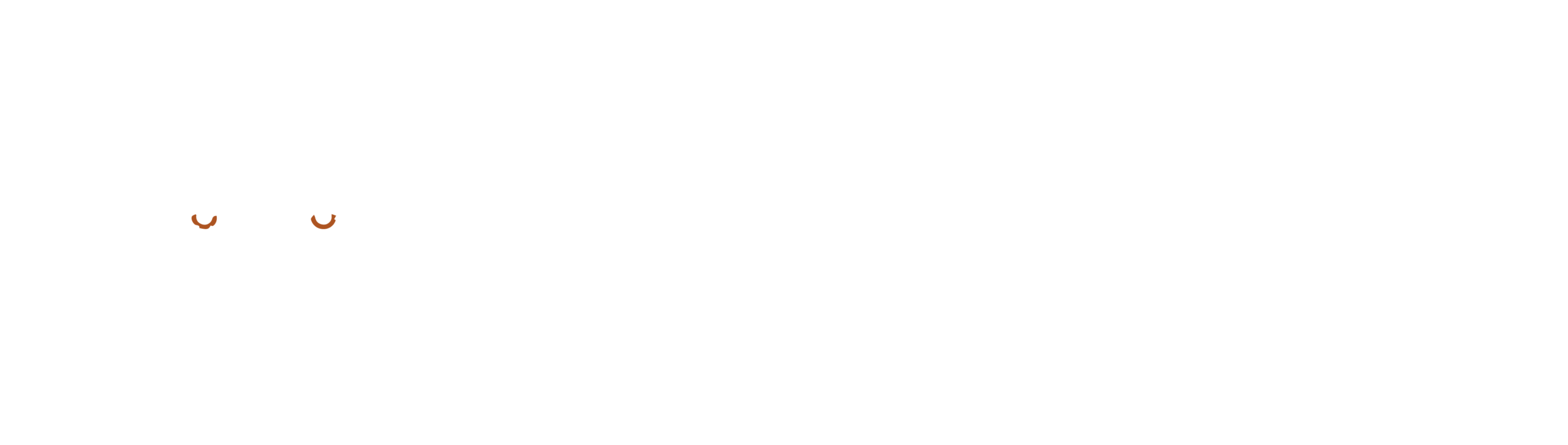 Amet Adventures