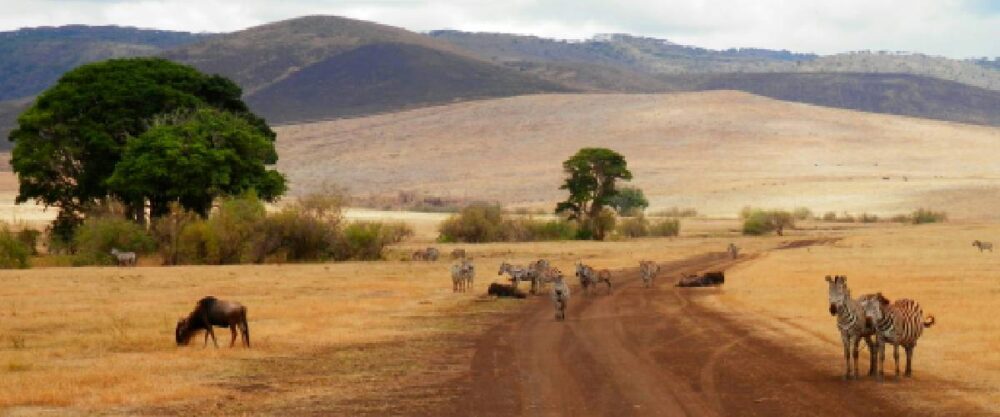 Tanzania travel insurance